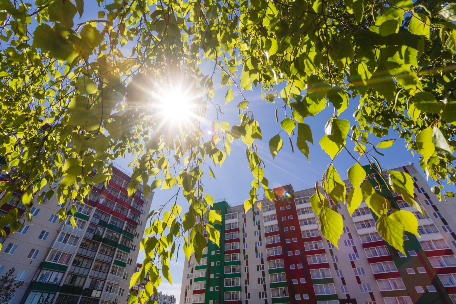 Вишневая горка 7