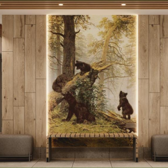 Места общего пользования